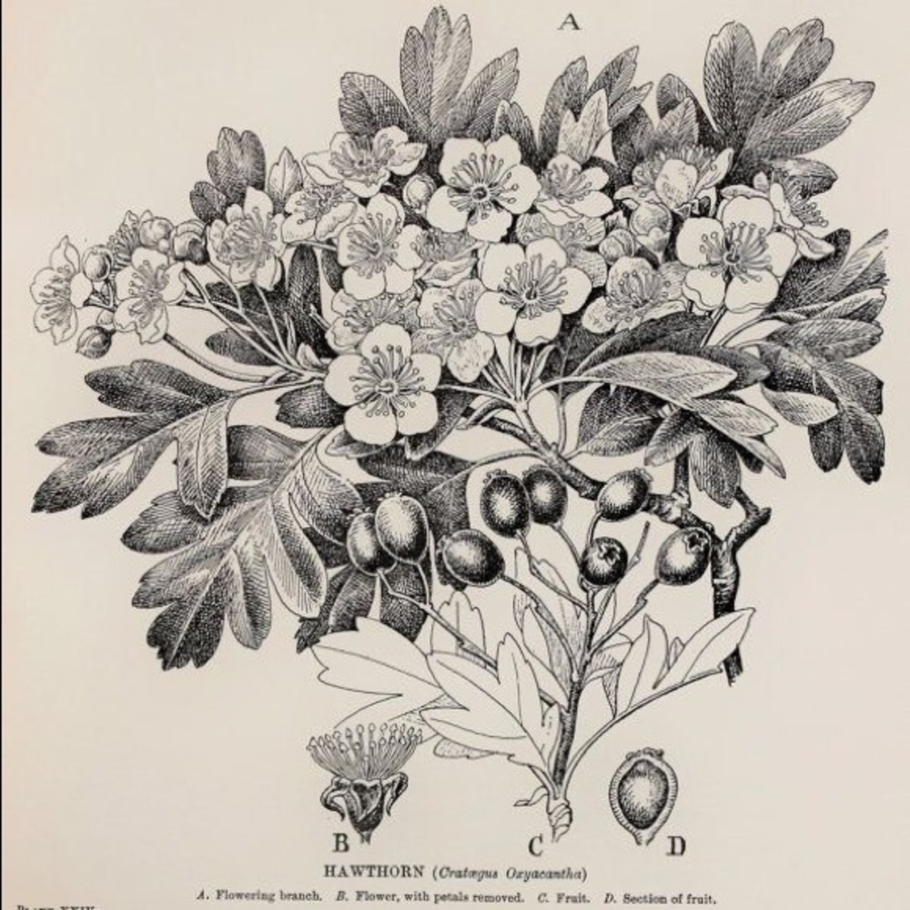 Meet your Posher, Ksenia